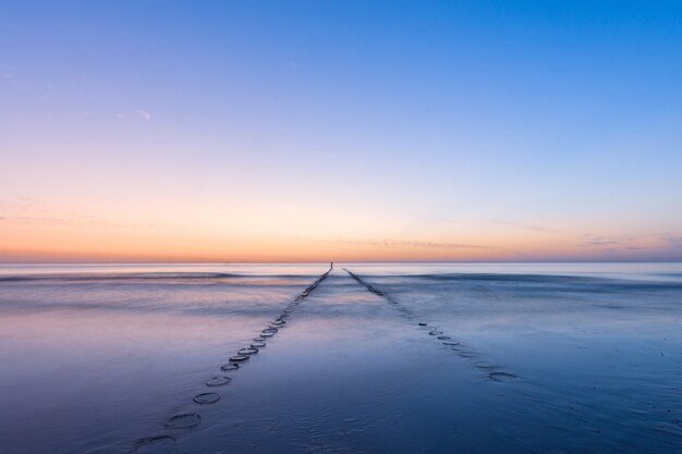 Schöner Schuss von Baumstämmen im Wasser mit einem blauen Himmel im Hintergrund