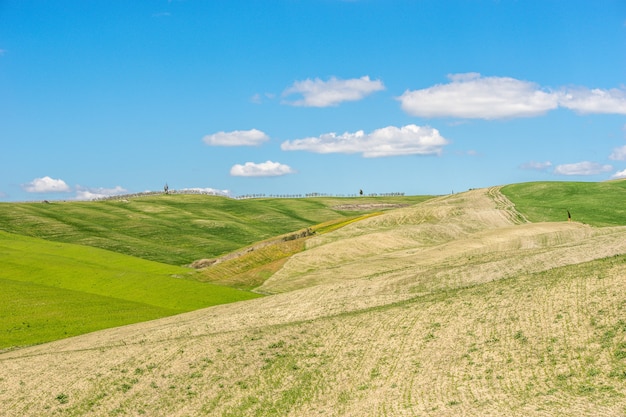 Schöner Schuss von grasbewachsenen Hügeln mit einem blauen Himmel in der tagsüber