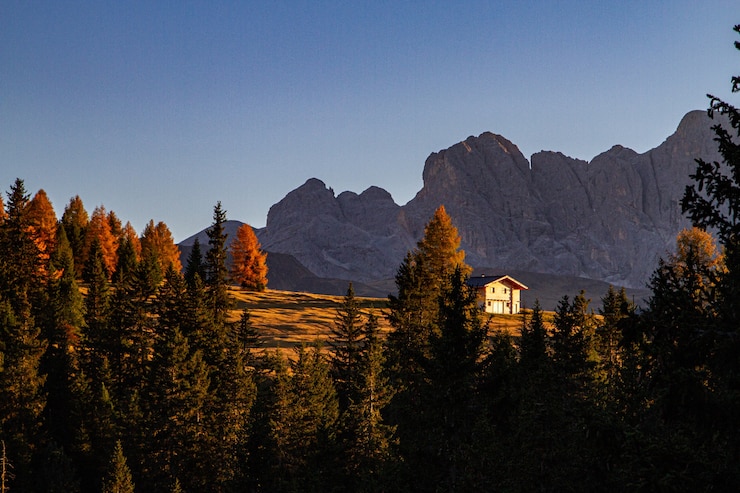 Kostenlose Foto schöner schuss von grünen bäumen mit einem haus und einem berg in der ferne im dolomit italien