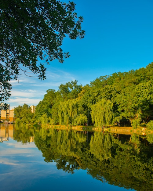 Schöner See im Sommer mit Reflexion der Bäume auf Wasseroberfläche. Der schöne Stadtpark in Kiew