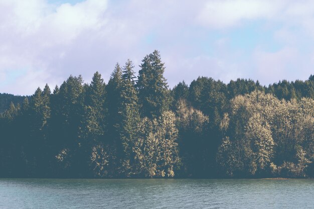 Schöner See neben einem Wald