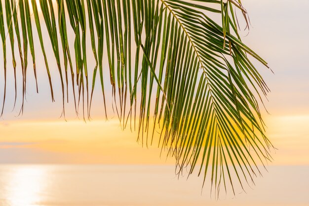 Schöner Seeozeanstrand mit Palme zur Sonnenaufgangzeit für Feiertag