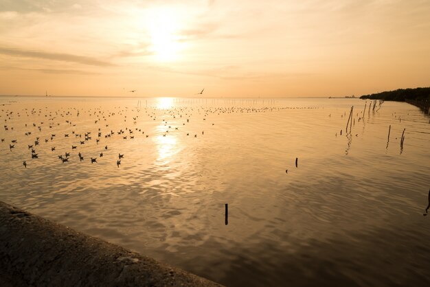 Schöner sonnenuntergang über dem meer