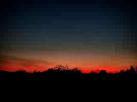 Kostenloses Foto schöner sonnenuntergang über der silhouette eines waldes