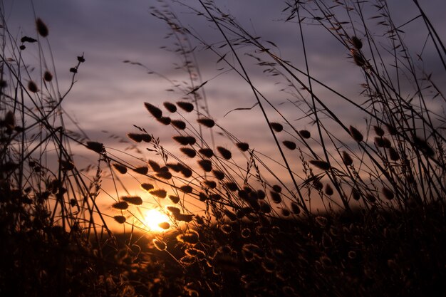 Schöner Sonnenuntergang