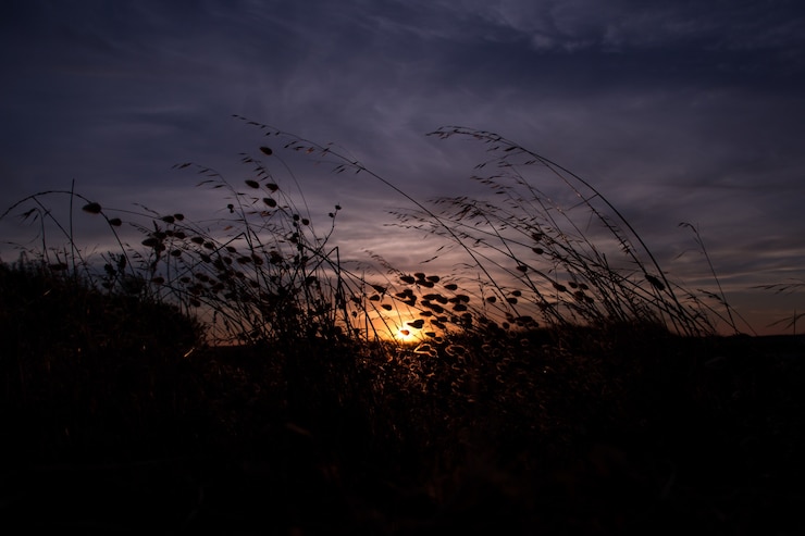 Kostenlose Foto schöner sonnenuntergang