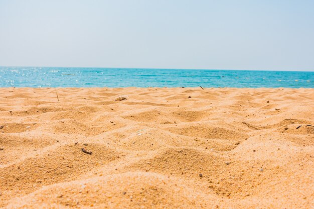 Schöner Strand und Meer mit Palme