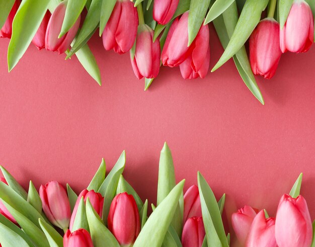 Schöner Strauß Tulpen auf rosa Hintergrund