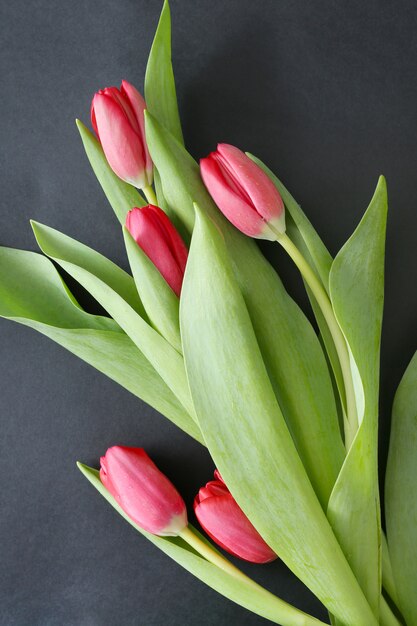Schöner Strauß Tulpen