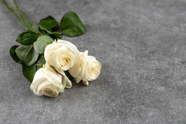 Schöner Strauß weißer Rosen auf Marmor gelegt.