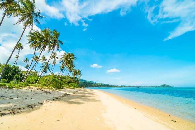 Schöner tropischer Strand und Meer mit KokosnussPalme in der Paradiesinsel