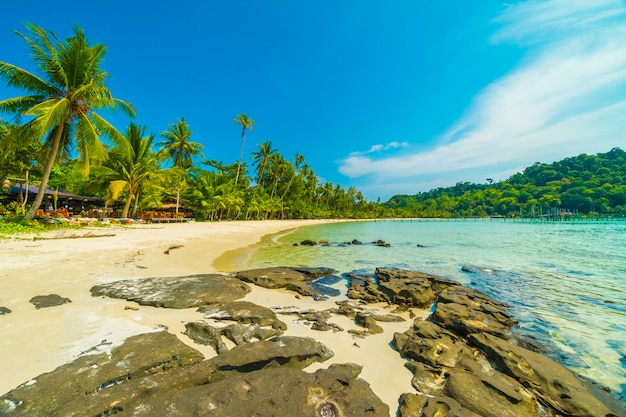 Kostenloses Foto schöner tropischer strand und meer mit kokosnusspalme in der paradiesinsel