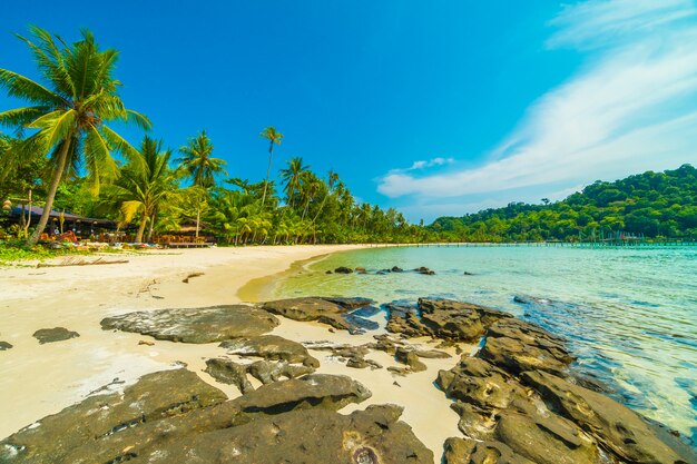 Schöner tropischer Strand und Meer mit KokosnussPalme in der Paradiesinsel