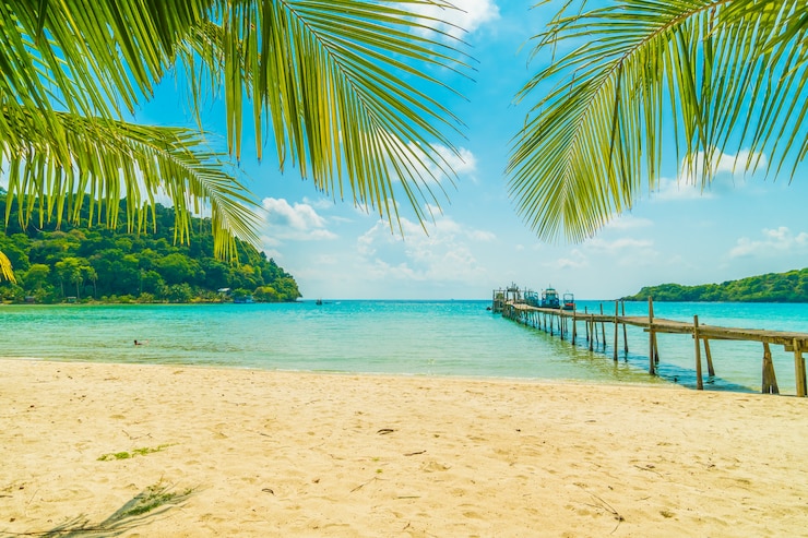 Kostenlose Foto schöner tropischer strand und meer mit kokosnusspalme in der paradiesinsel