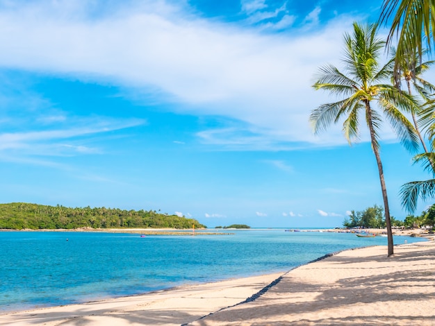 Schöner tropischer strand und meer mit kokosnusspalme
