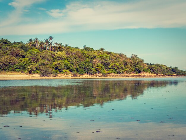 Schöner tropischer Strand und Meer mit KokosnussPalme