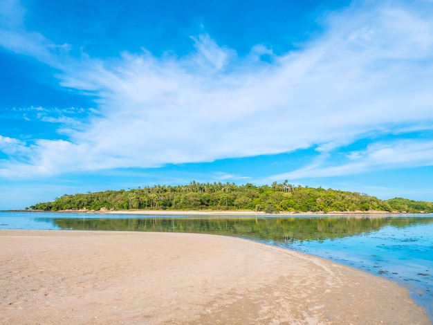 Kostenloses Foto schöner tropischer strand und meer mit kokosnusspalme