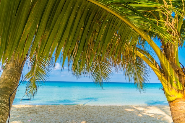 Schöner tropischer Strand und Meer