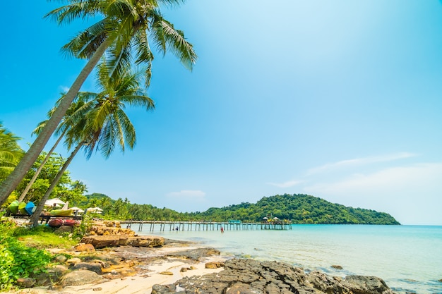 Schöner tropischer Strand und Meer