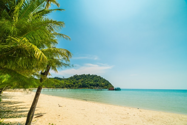 Schöner tropischer Strand und Meer