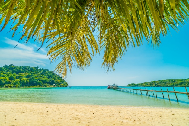 Schöner tropischer Strand und Meer