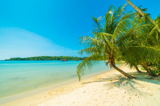 Schöner tropischer Strand und Meer