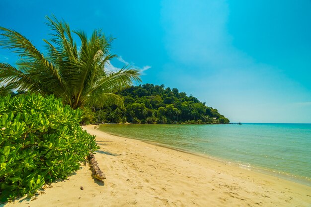 Schöner tropischer Strand und Meer