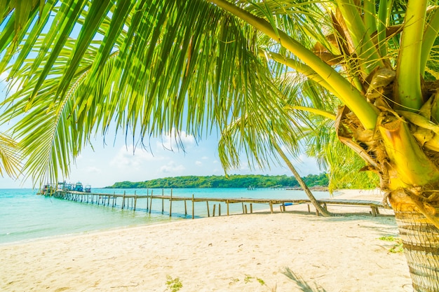 Kostenloses Foto schöner tropischer strand und meer