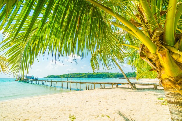 Schöner tropischer Strand und Meer