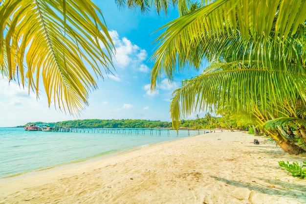 Schöner tropischer Strand und Meer