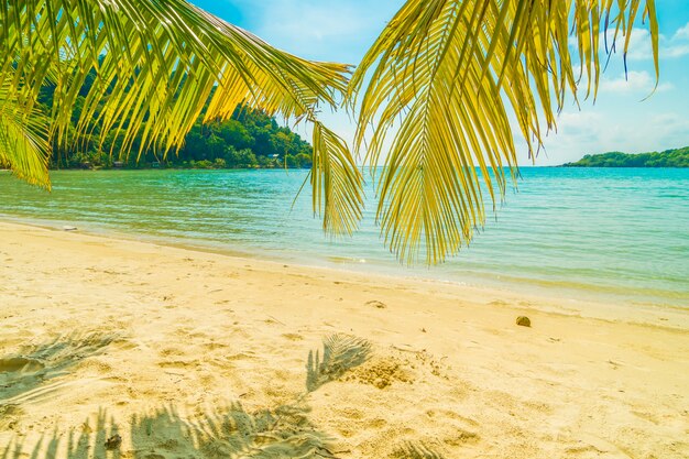 Schöner tropischer Strand und Meer