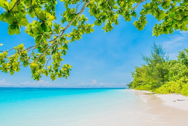 Kostenloses Foto schöner tropischer strand