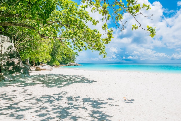 Kostenloses Foto schöner tropischer strand