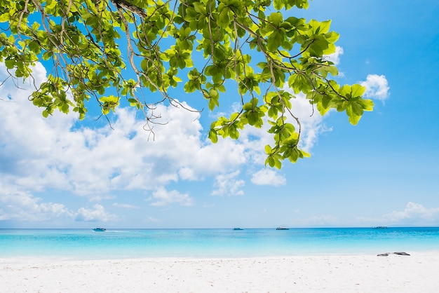 Schöner tropischer Strand