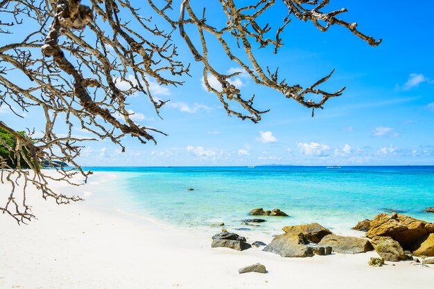 Kostenloses Foto schöner tropischer strand