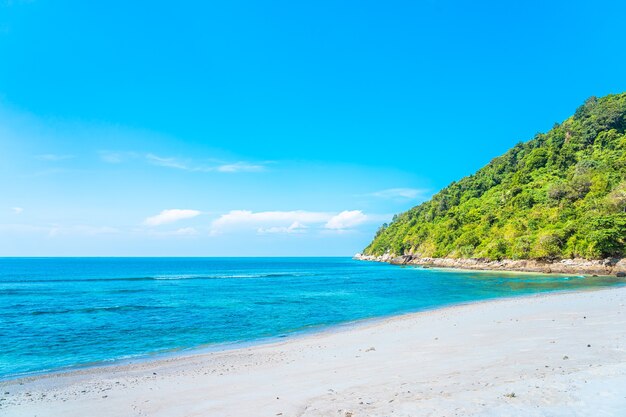 Schöner tropischer Strandmeeresozean mit Kokosnuss und anderem Baum um weiße Wolke auf blauem Himmel