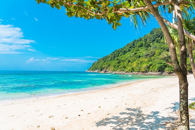 Schöner tropischer Strandmeeresozean mit Kokosnuss und anderem Baum um weiße Wolke auf blauem Himmel