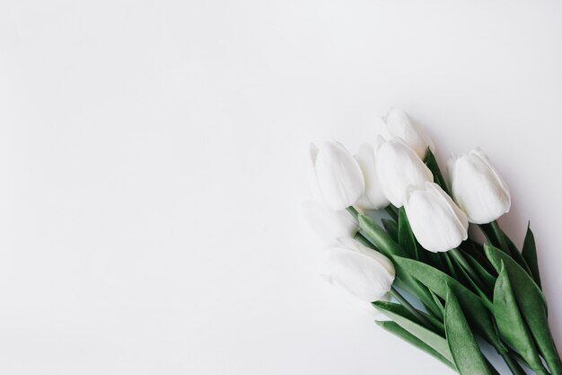 schöner Tulpenblumenstrauß auf weißem Hintergrund