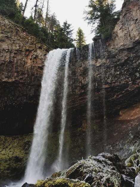 Schöner Wasserfall in einem felsigen Wald, umgeben von viel Grün