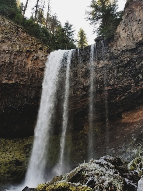 Schöner Wasserfall in einem felsigen Wald, umgeben von viel Grün