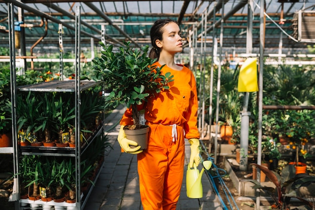Schöner weiblicher Gärtner, der Topfpflanze und Gießkanne im Gewächshaus hält