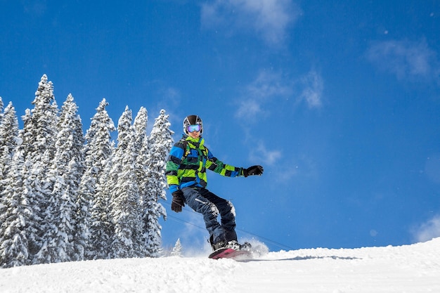 Schöner Wintertag