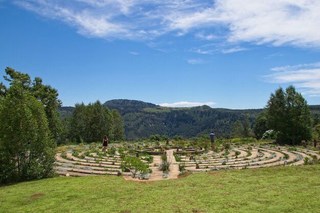 Schönes Betonlabyrinth, umgeben von grasbedeckten Feldern und Bäumen