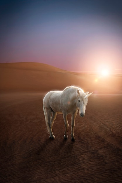 Schönes Einhorn in der Naturzusammensetzung