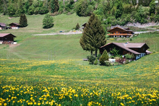 Schönes europäisches Dorf auf einem Grünhügel