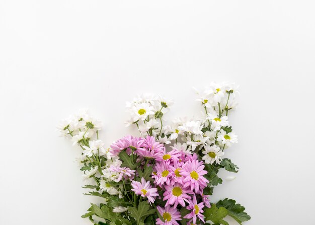 Schönes Gänseblümchenblumenbündel auf weißem Hintergrund