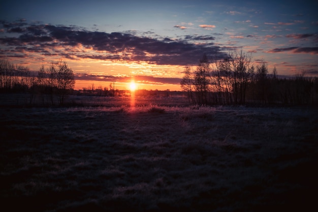 Schönes grasbedecktes Feld und die Bäume unter dem Sonnenuntergang im bewölkten Himmel