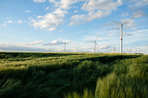 Schönes Grasfeld mit Windmühlen in der Ferne unter einem blauen Himmel