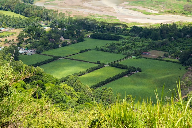 Schönes grünes Feld der costaricanischen Landschaft