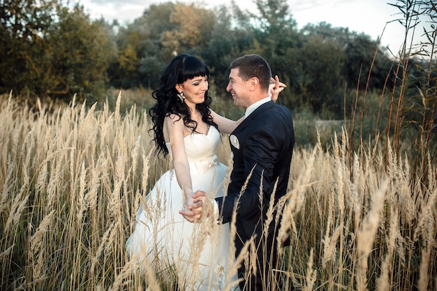 Schönes Hochzeitspaar, das im Wald auf einem umgestürzten Baum sitzt